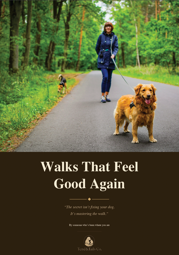 Walks That Feel Good Again